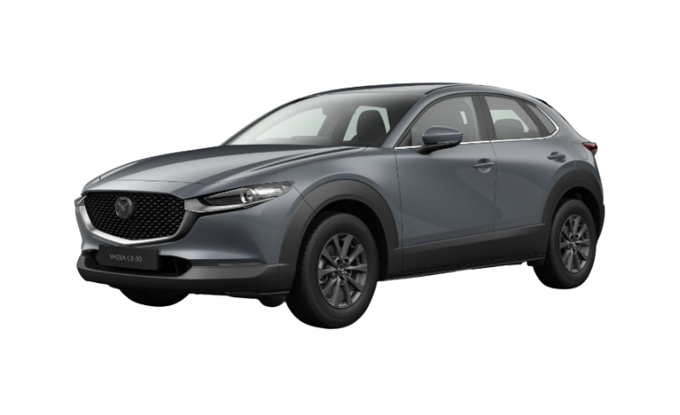 dual control mazda